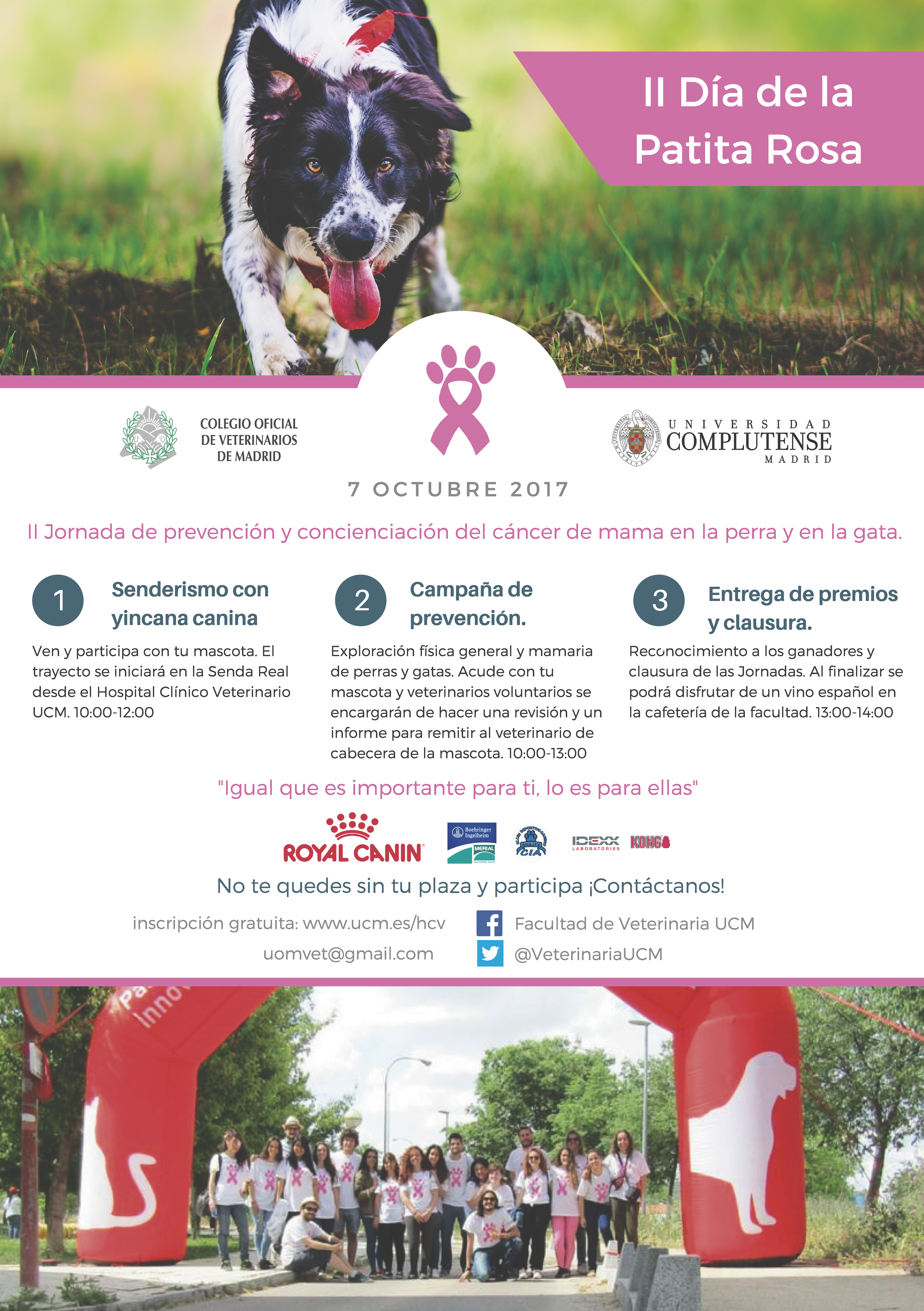 II Jornada de prevención y concienciación del cáncer de mama en la perra y en la gata